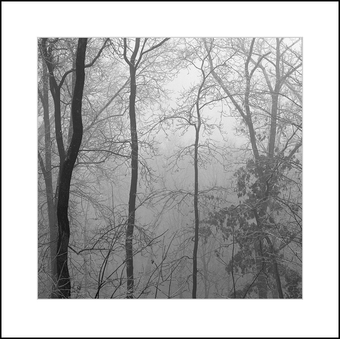 Fog and Ice