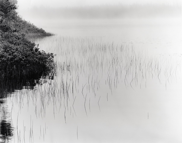 Fog; Culhane Lake