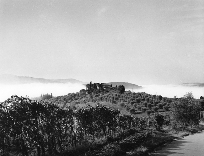 Fog in Mughello