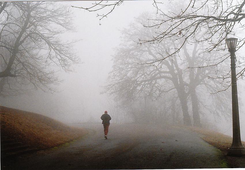 Fog Jogger