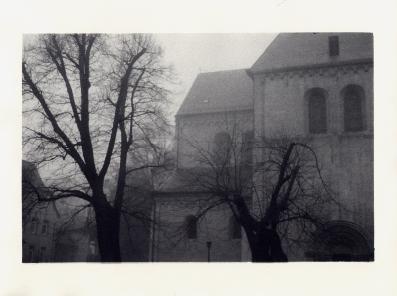 Fog