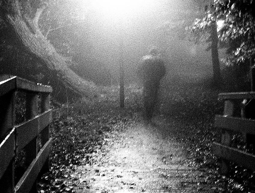 Fog