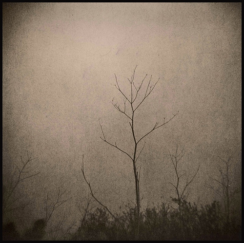 Foggy Day