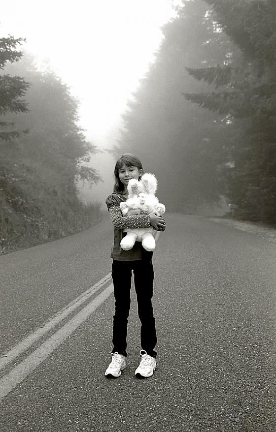 Foggy day