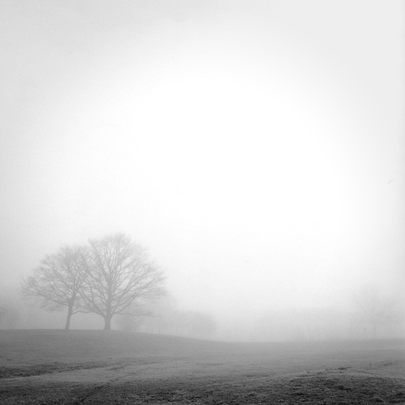 Foggy Morning #1, Hines Park
