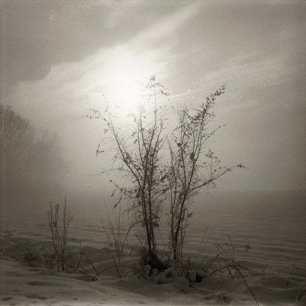 Foggy Morning 2