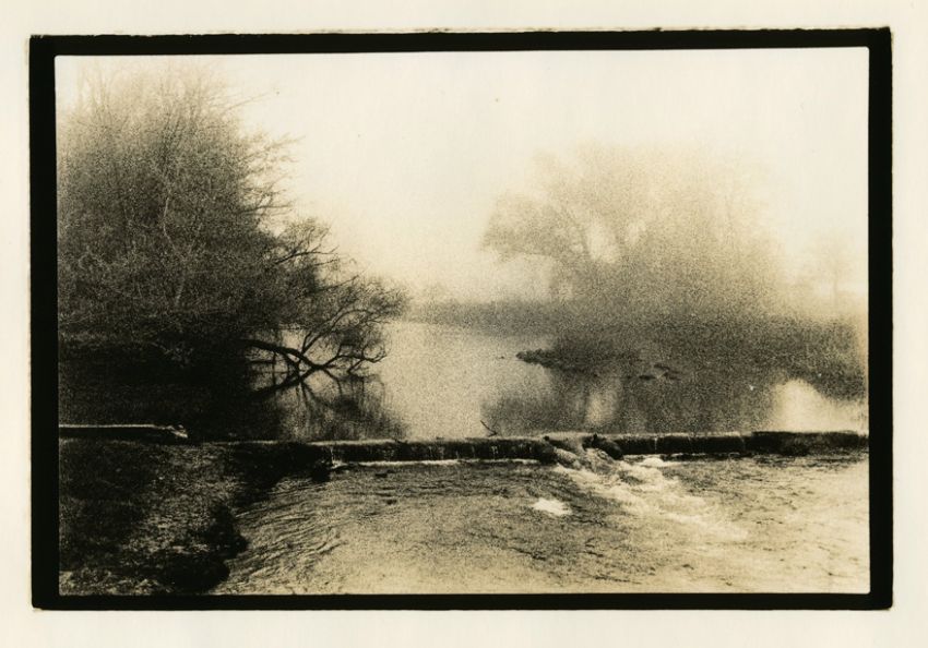 Foggy morning 3
