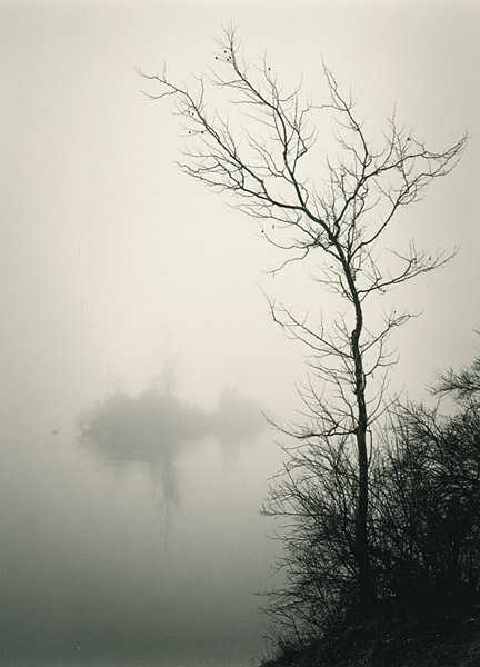 Foggy Morning, Eagle Creek