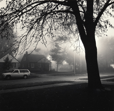 Foggy Morning