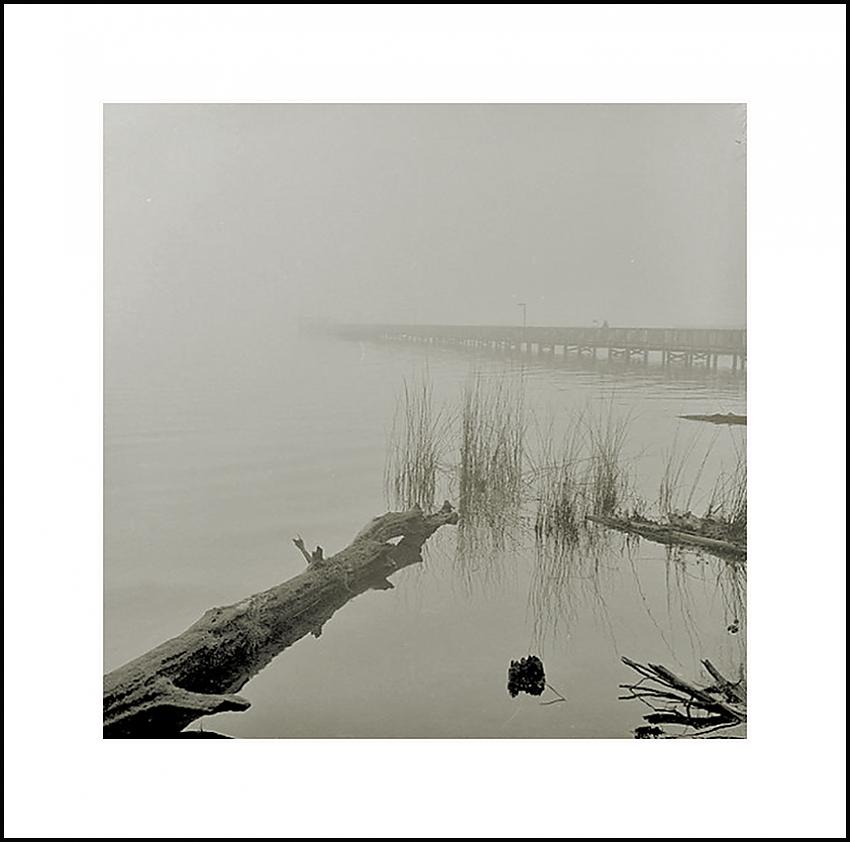 Foggy Morning