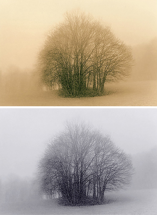 foggy - polychrome & gold toner