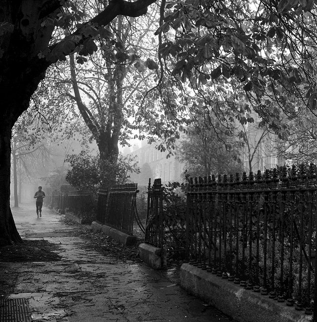Foggy Sunday