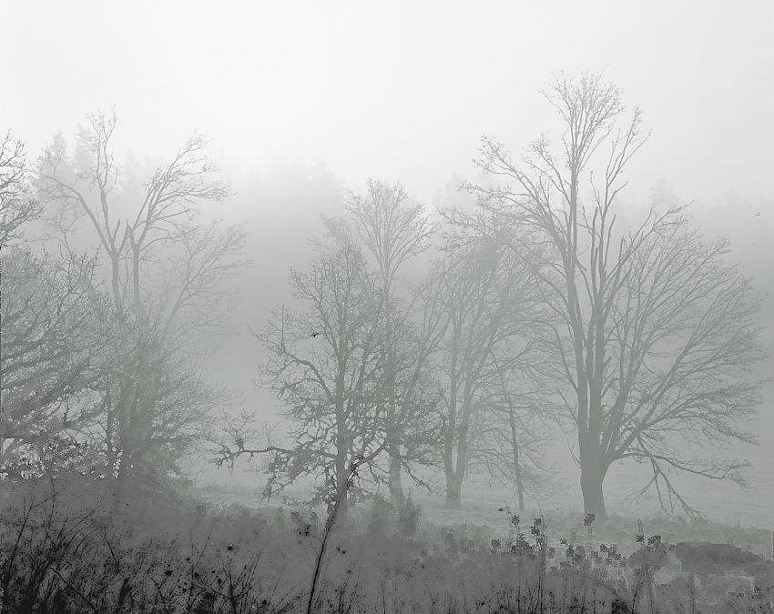 Foggy Valley
