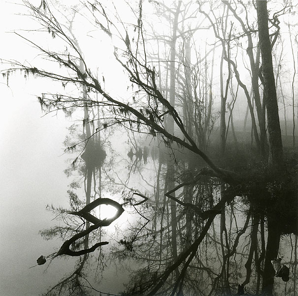 Foggy Winter Morning on the Yeopim