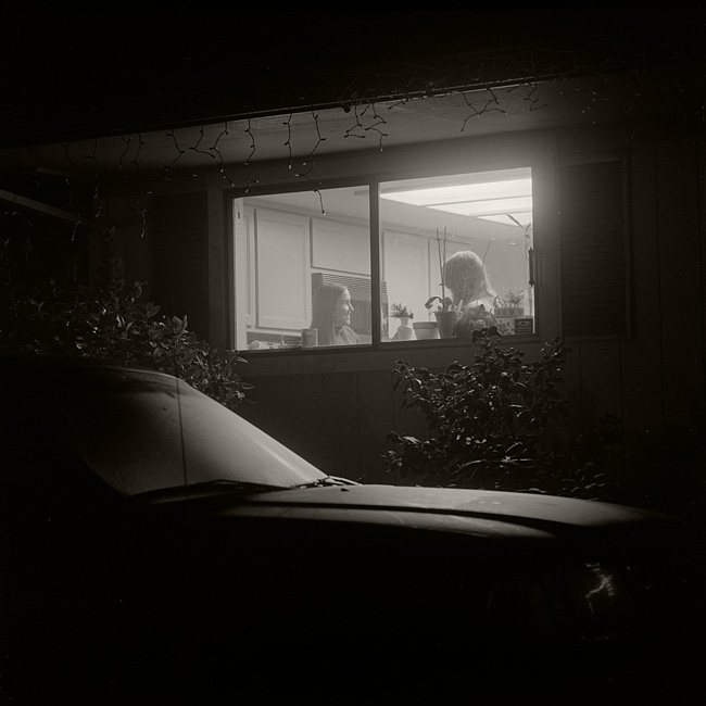 Foggy Yard 4