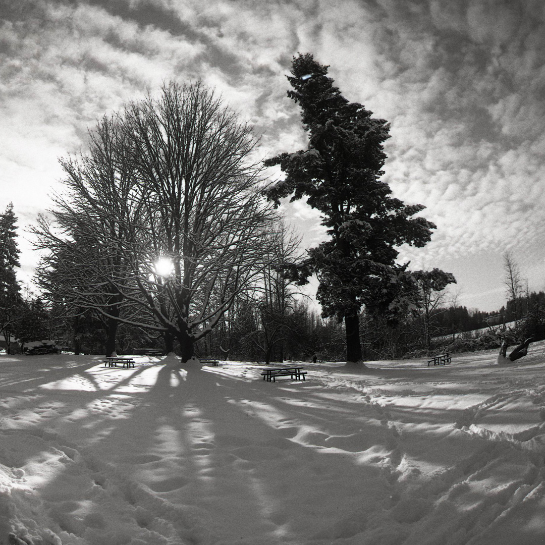 Following the Light - Stay out of the Shadows