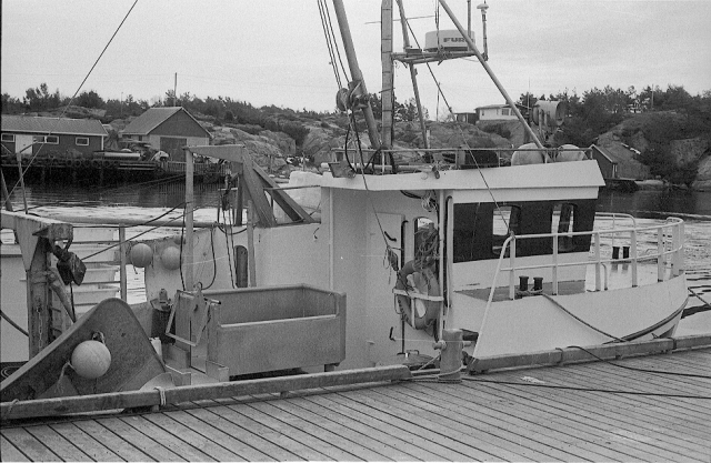 Fomapan 100 In Rodinal