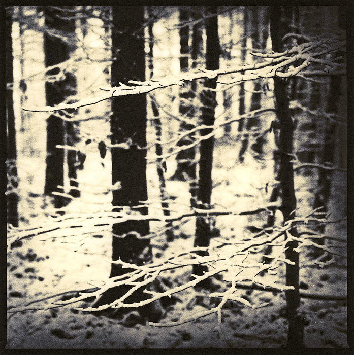 Fomatone Grove
