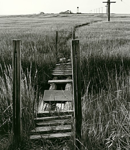Foot Bridge