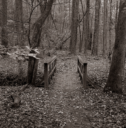 foot bridge