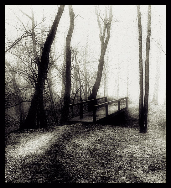 footbridge and fog
