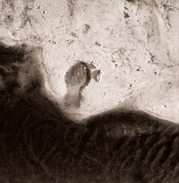 Footprint