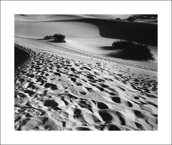 Footprints, Mesquite Dunes