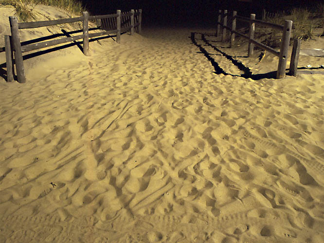 footprints