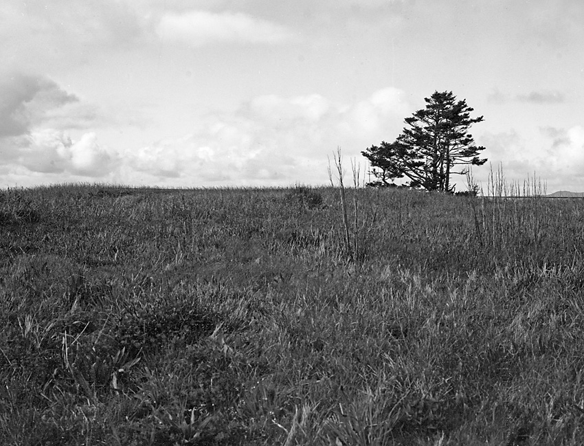 Foreground