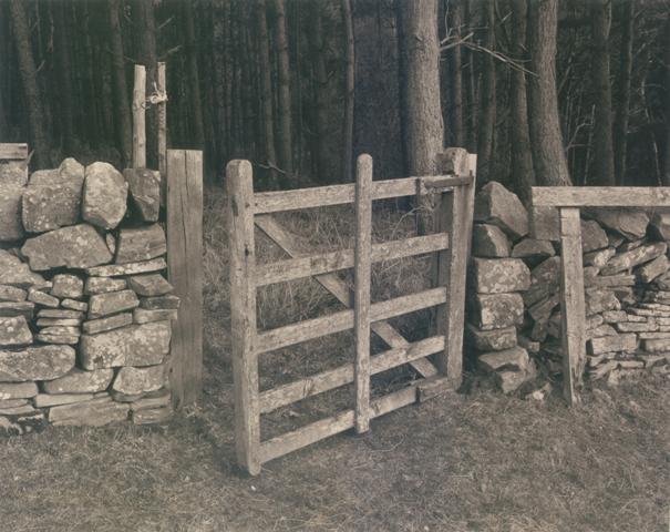 Forest Gate
