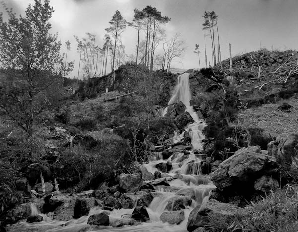 Forestry workings in Glen Shiel