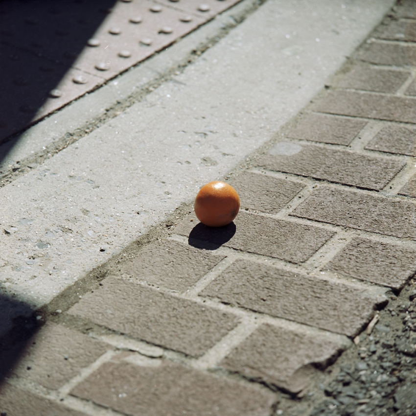 Forlorn Orange, in the Gutter