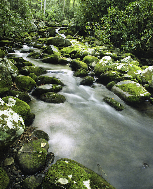 Forney_Creek008