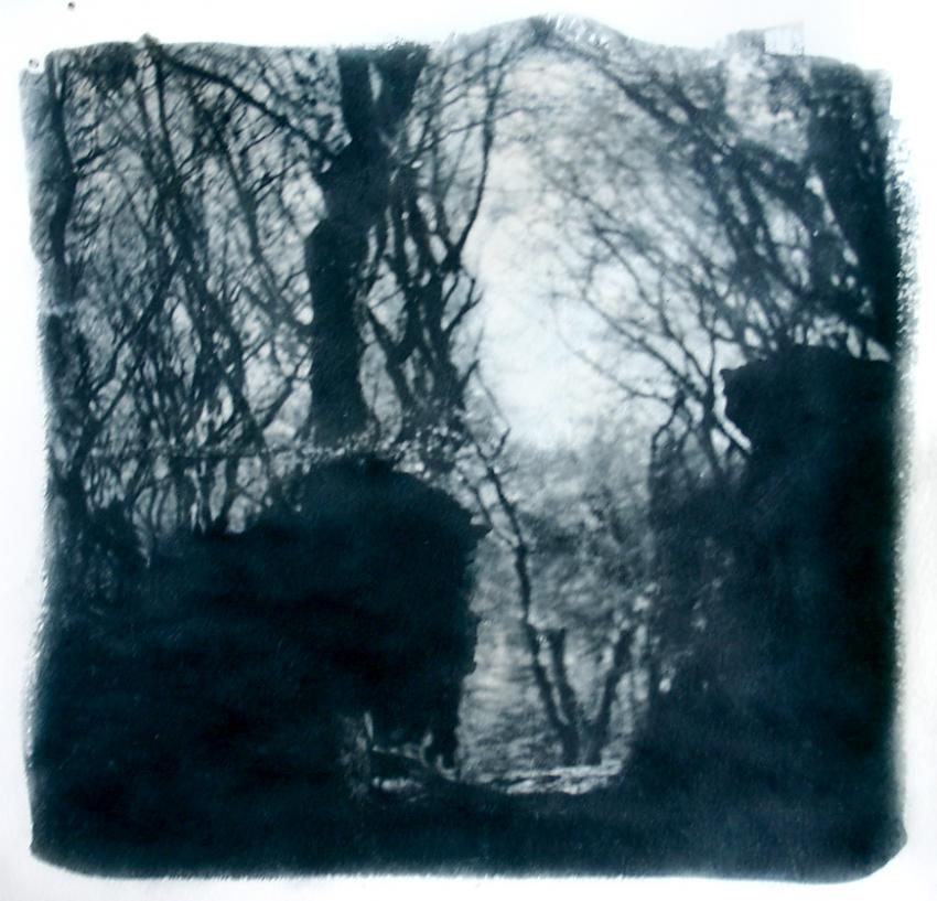 forrest of trolls - Bromoil