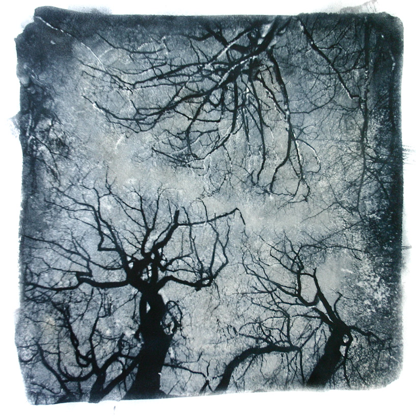 forrest of trolls...