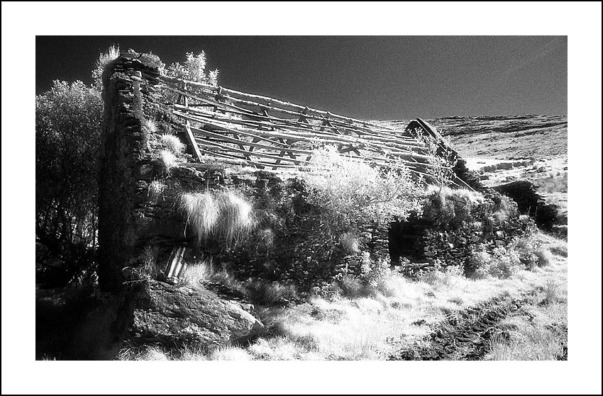 Forsaken Dream No.3