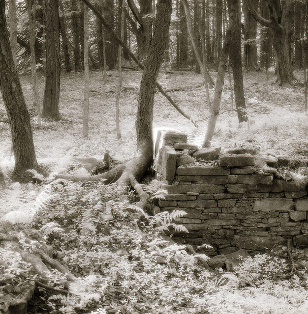 Foundation