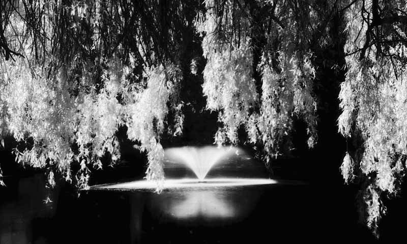 Fountain In Infrared