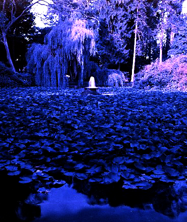 Fountain Pond