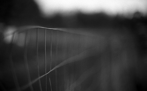 Fragile