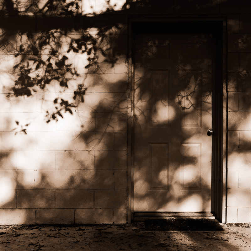 Frame 12