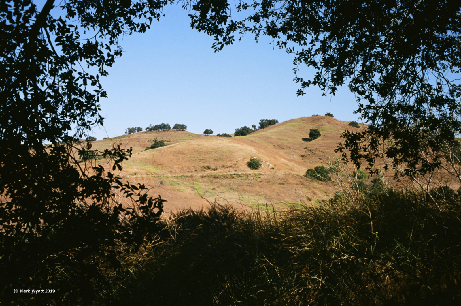 Framed Hill Scene