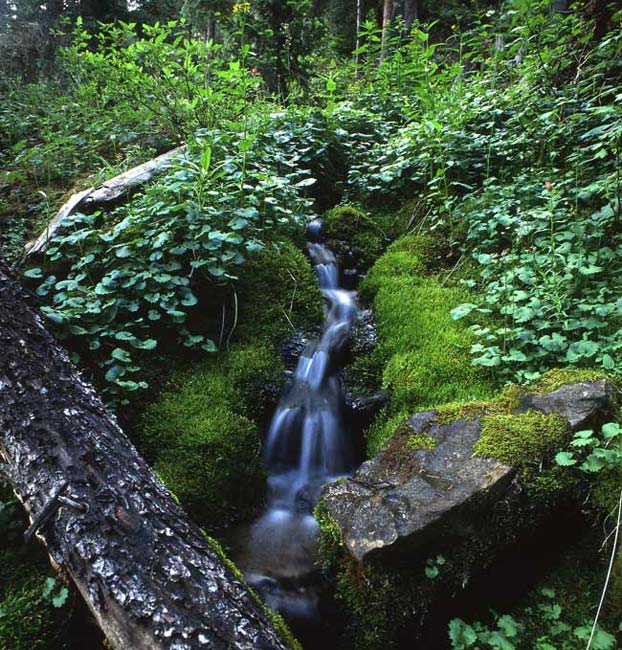 Framed Waterfall