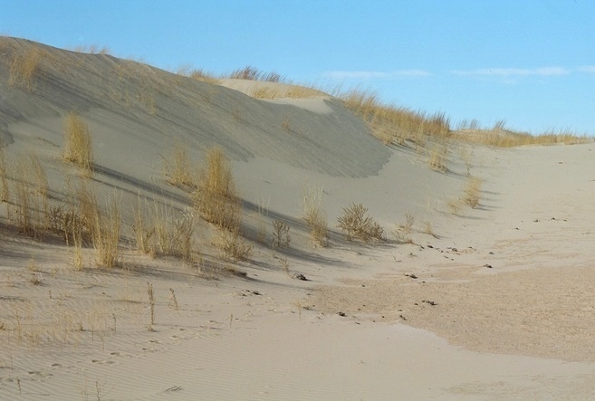 Franka Sandhills
