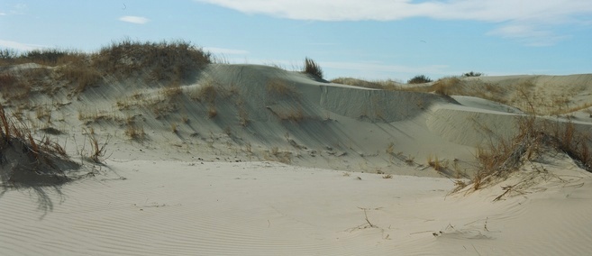 Franka Sandhills