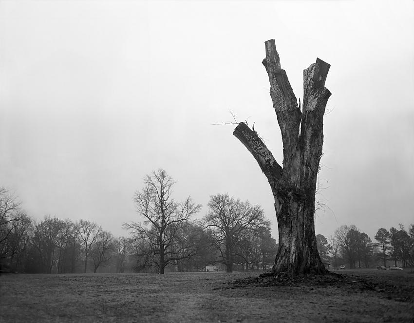 Frayser Park