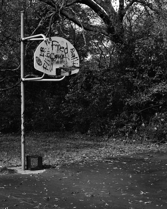 Fred's Court