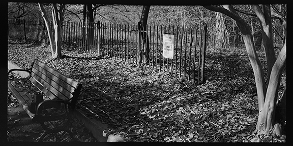Freedmens Cemetery, Rock Creek Park