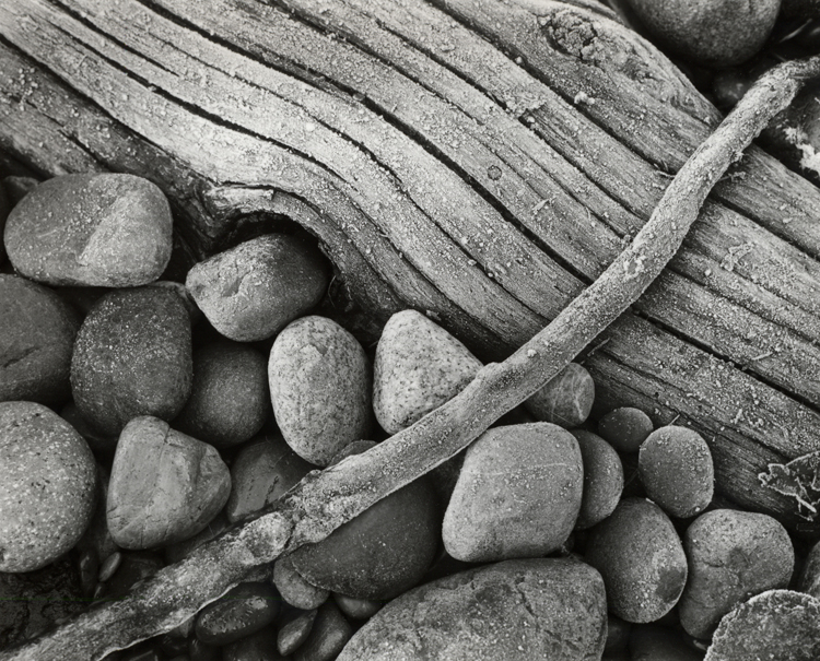 French Beach Frost 1