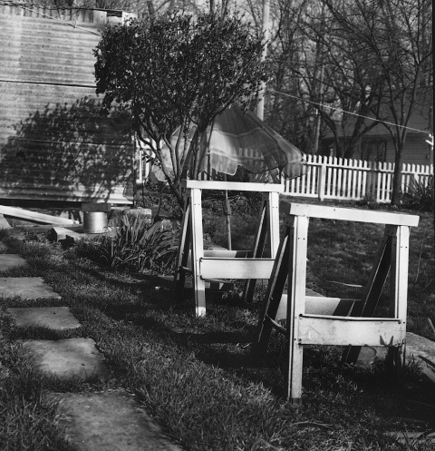 Friends Backyard